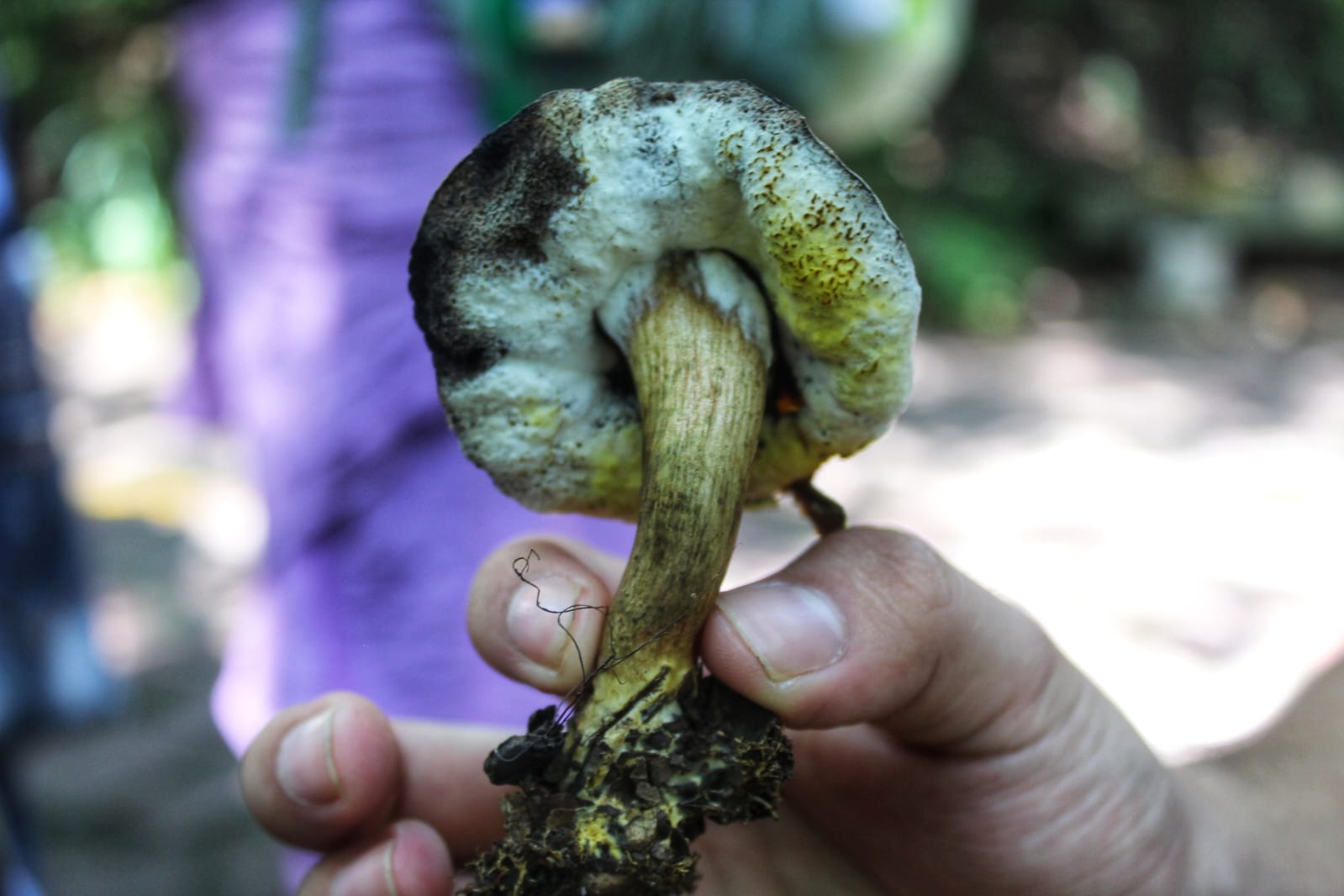 Imagen de WhatsApp 2025-07-20 a las 15.55.03_fa663bc7