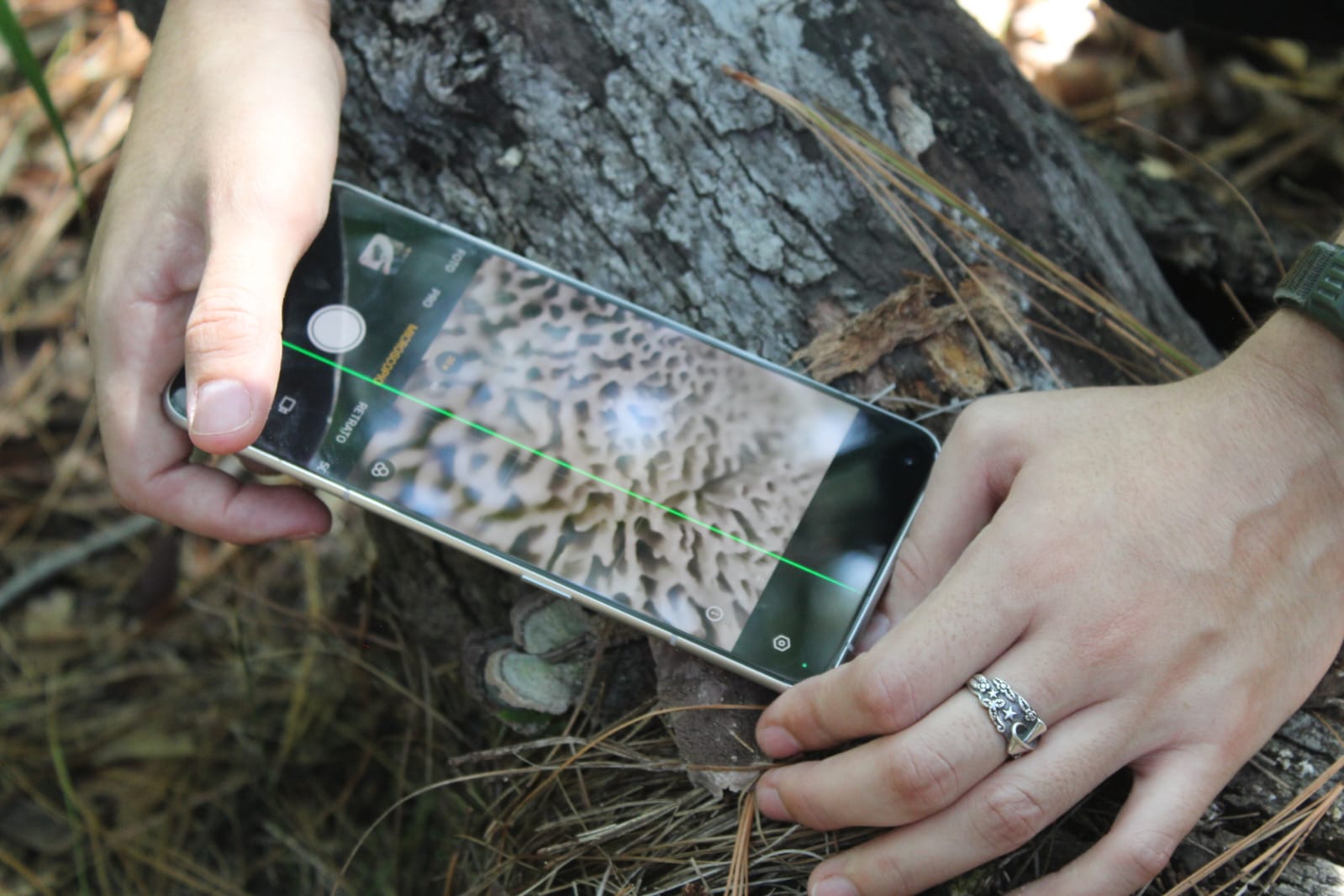 Imagen de WhatsApp 2025-07-20 a las 15.55.04_4ff57ca6