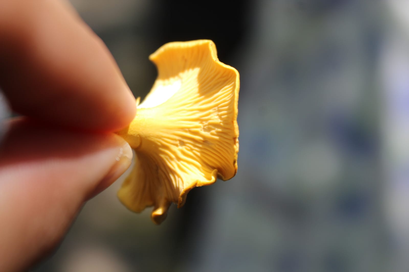 Imagen de WhatsApp 2025-07-20 a las 15.55.05_c1778ec7