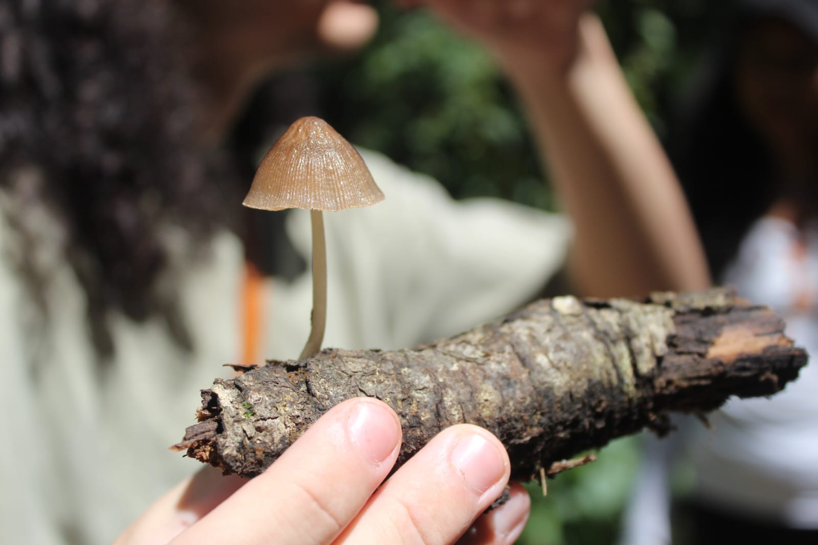 Imagen de WhatsApp 2025-07-20 a las 15.55.19_f685891a